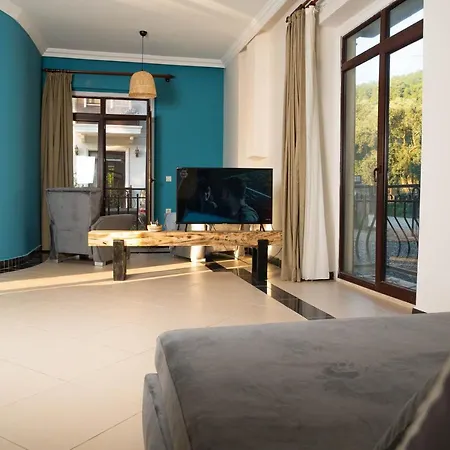 Villa Marmaris Private Villa-villa Lufu -2-